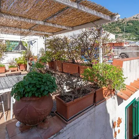 Apartamento Capri Mio