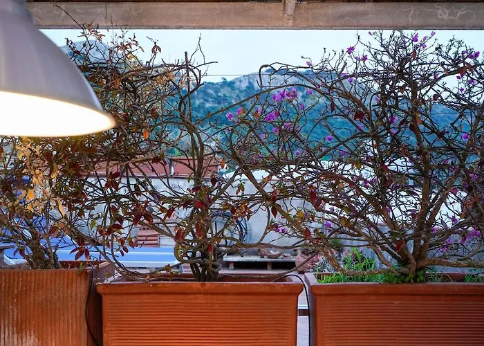 Capri Mio 아나카프리